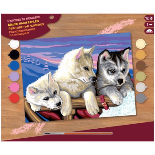 Schilderen Op Nummer - Huskies