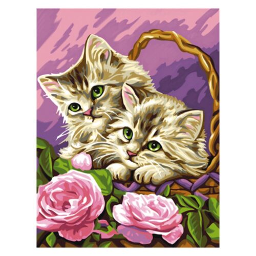 Schilderen Op Nummer - Kittens