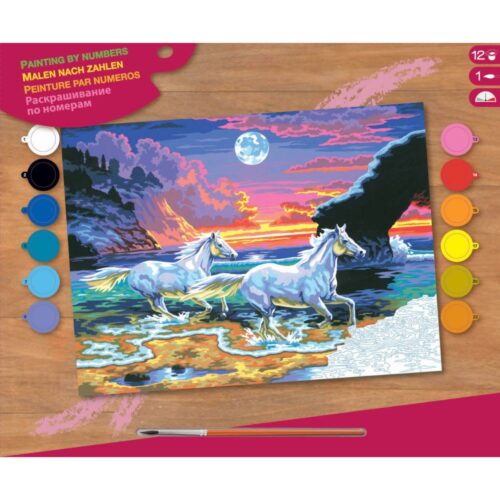 Schilderen Op Nummer - 2 Paarden