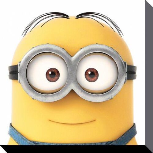 Minions Canvas Print Smile 40 x 40 cm