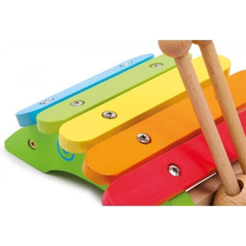 small foot - Xylophone Snail